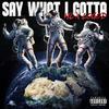 SAY WHAT I GOTTA (feat. LoGod) (Explicit) - HL Crew&LoGod