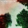 Downstream - Laniakea&Hoving