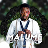 Malume (feat. Reba Red, Youngsta CPT and Maraza) - DJ Radix&Maraza&Reba Red&Youngsta CPT