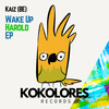 Leave Me (Radio Edit) - Kaiz (BE)