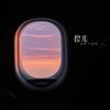 傻瓜 - 火鸡