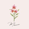 Mesmerize - Bashan Lyngdoh
