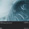What Happens Next Life (Punktmidi Remix) - Dissonne&Benjamin Galamand&Punktmidi&Johannes Geller