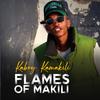 No Introduction (feat. Manxebe) - Kaboy Kamakili&Manxebe
