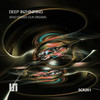 Who Draws Our Dreams (Original Mix) - Deep Inzhiniring