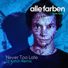 Never Too Late (DJ Katch Remix) - Sam Gray&Alle Farben