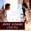 Mere Ajnabi (Lo-Fi) - Farhan Saeed