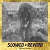BEAT MÁGICO QUE MEXE COM A SUA MENTE (Slowed + Reverb) | Official Áudio (Explicit) - DJ GUDOG&Mc Mascara