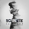 Survivor(2015 하이네켄 프레젠트 스타디움 공식 테마 송) (Inst.) - Scarnite&SURAN (수란)