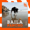 Baila Pancho - Adogtados