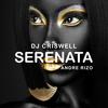 Serenata (feat. Andre Rizo) - DJ Criswell&Andre Rizo