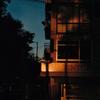 skylines - Aesthetic Sounds&Jayj