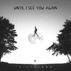 Until I See you Again - Mike Simon