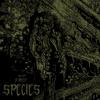 Far From Free (Explicit) - Species