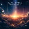 Pareidolia The Long Dream (feat. HALLUCIGEN, Reiswerk & MissJudged) (Dusty Jazz Record) (Explicit) - The Incomplete Orchestra&Hallucigen&Reiswerk&Missjudged