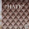 Hate (Explicit) - Sam Rubin