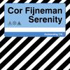 Serenity (Radio Edit) - Cor Fijneman