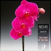 The Flight of the Soul (Original Mix) - AndrewP