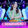 Memandangmu - Ageng Music&Diva Hani