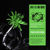 From Everything - Anton Rudd&SDOB