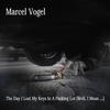 The Day I Lost My Keys In A Parking Lot (Well, I Mean...) (Explicit) - Marcel Vogel