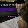 全体目光向我看齐 - 浪帝