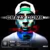 Crazy Dumb (Explicit) - Nika D&Virus Syndicate