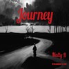 Journey (Explicit) - Stranger's ent&Mally B