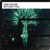 Without You - Sam Halabi