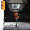 Trapping - NOIXES