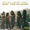 Way Too Player (Explicit) - Chef G Cole&RJmrLA&Rossi Rock