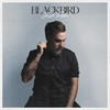 Blackbird - Josh Pyke