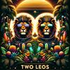 Take You Higher - Two Leos