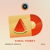 Vinyl Funky - Roberto Pedoto