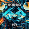 Imperfect World - Reivax&Rayz