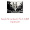 IV. Andante - Vegh Quartet