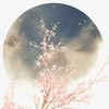 谓风 - 染lafier