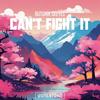 Can't Fight It - Autumn Skeyes&Outertone