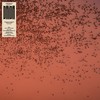 OISEAUX D'ABORD (Single edit) - Daïda