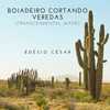 Boiadeiro cortando veredas (Transcendental waves) - Edesio Cesar