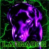 LABRADOR (Explicit) - ONI INC.&HELLI&ZipLock1337