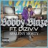 Spálený Mosty (feat. Dyzivv) (Explicit) - Bobby Blaze&Dyzivv