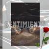 Nadie Como Tu (Explicit) - Young Wins&Lukitas Prod