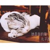 她是我的猫 - 丸子西