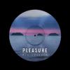 Pleasure (Radio Edit|Explicit) - Blu Leopard&Chris Milburn