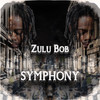 Symphony - Zulu Bob