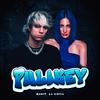 Pulikey - Zone7&La Cintia