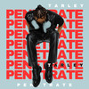 Penetrate (Acoustic Version) - Tarley