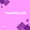 Trampoline - Linkage