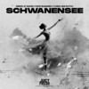 Schwanensee - Nerds At Raves&Bodybangers&Chris van Dutch&Michael Mirell&Andrew Lennix